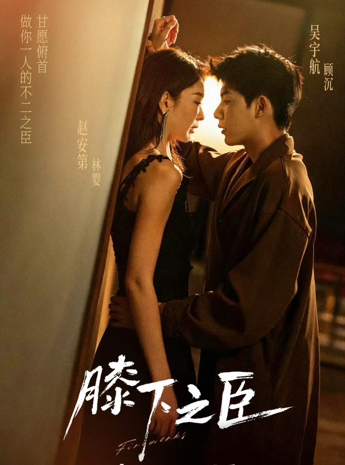 膝下之臣封面图