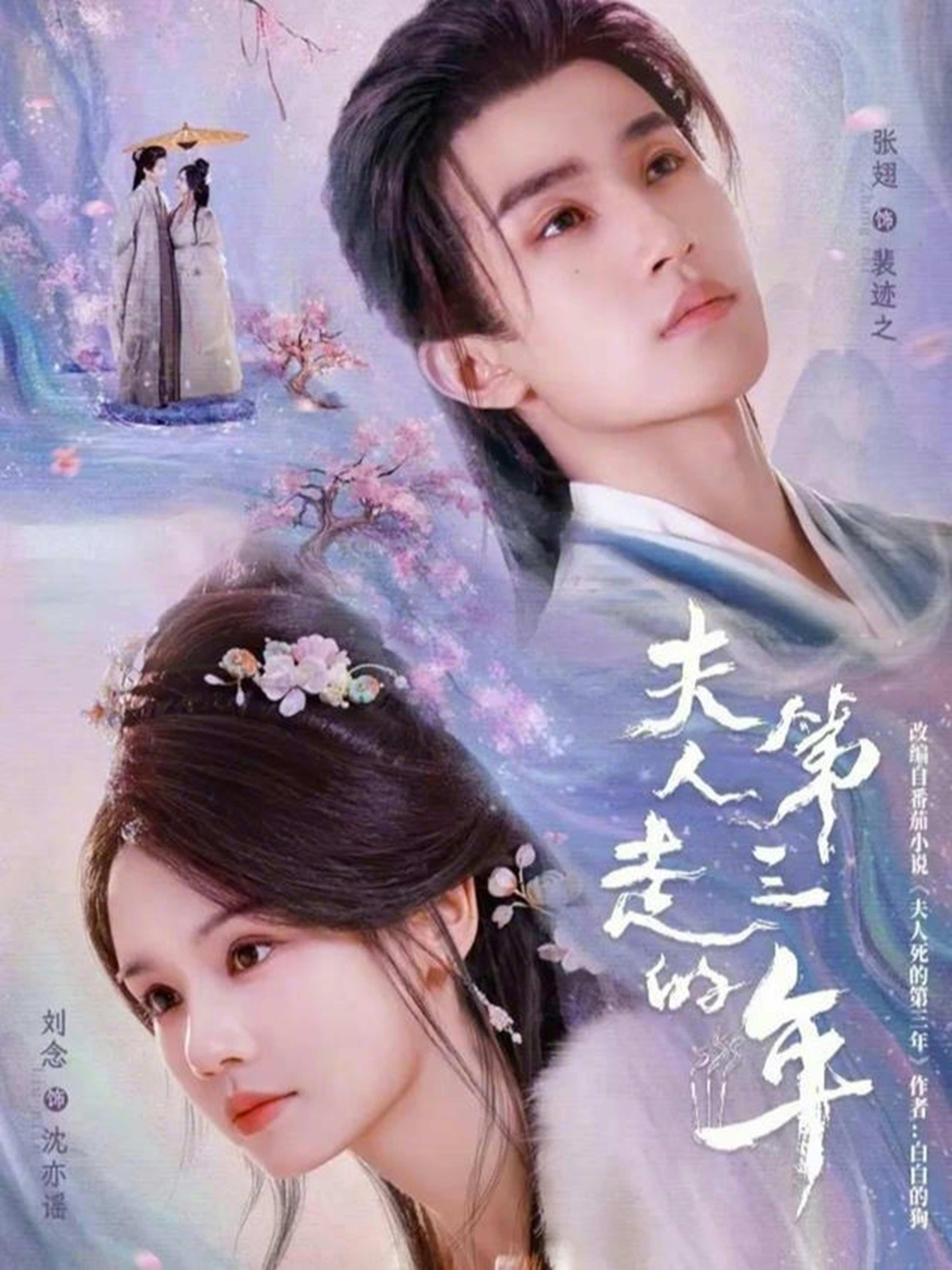 夫人走的第三年封面图