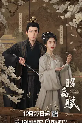 昭离赋封面图