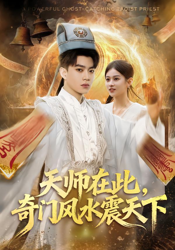 天师在此，奇门风水震天下封面图