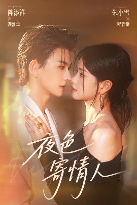 夜色寄情人封面图