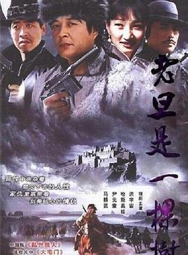 老旦是一棵树封面图