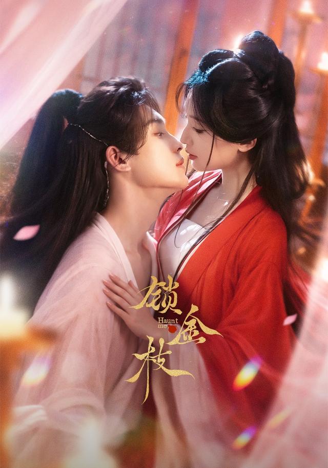 锁金枝78集版封面图