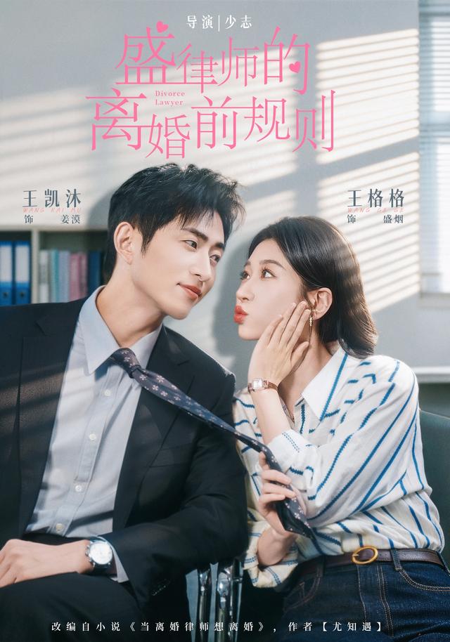 盛律师的离婚前规则封面图
